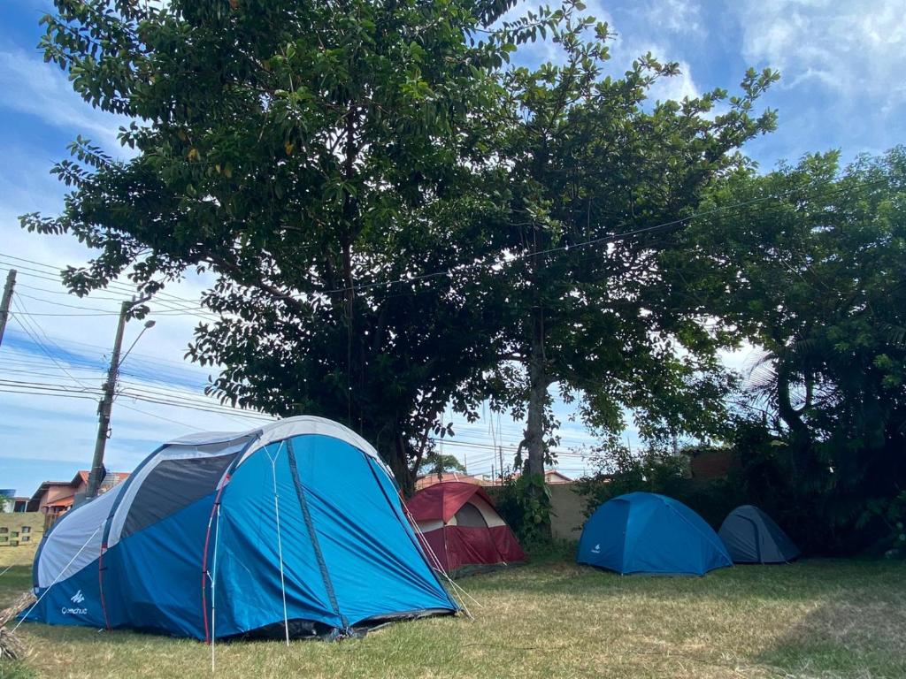 Ghaya Mini Camping room 1
