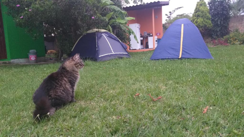 Ghaya Mini Camping room 4