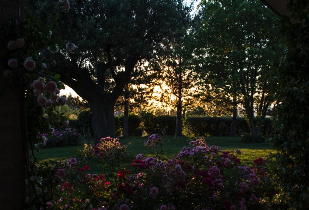 Il Giardino delle Rose room 4