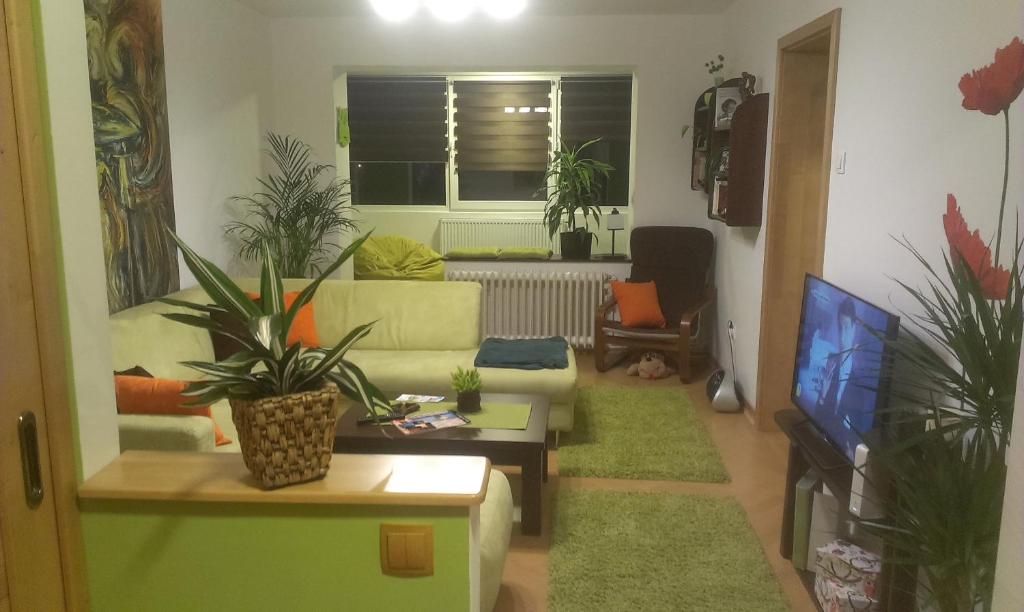 Green Apartment room 5