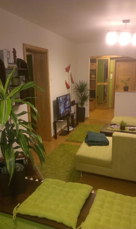 Green Apartment room 6