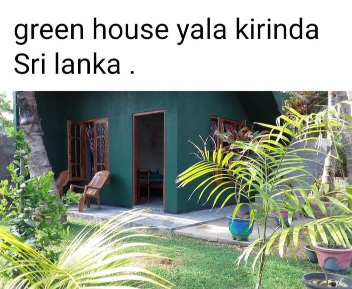Green House Yala room 1