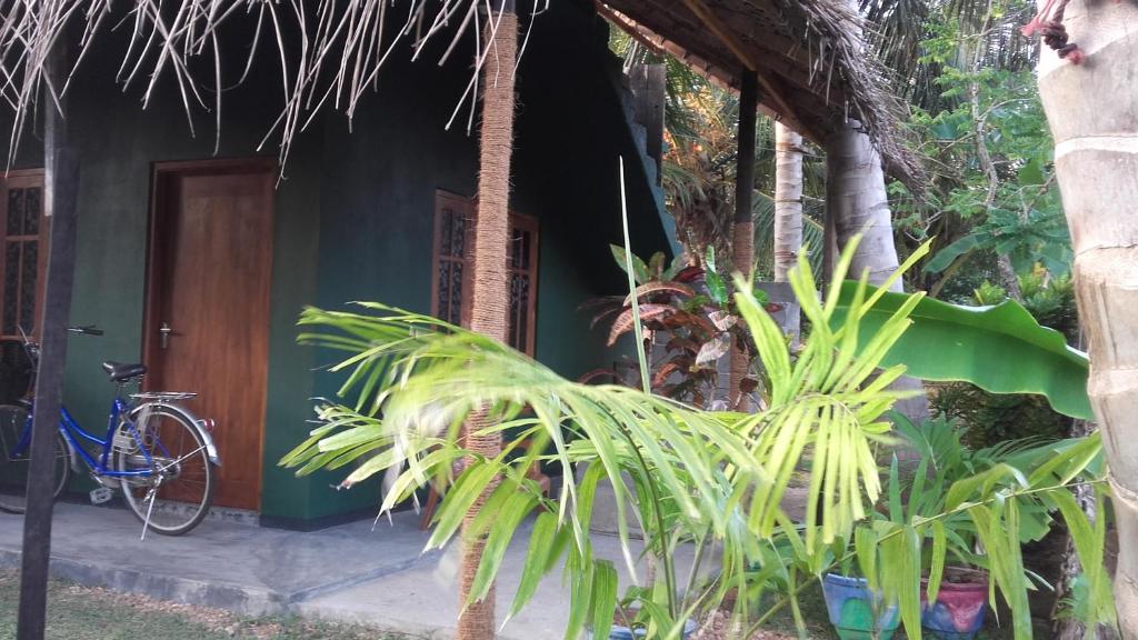 Green House Yala room 5