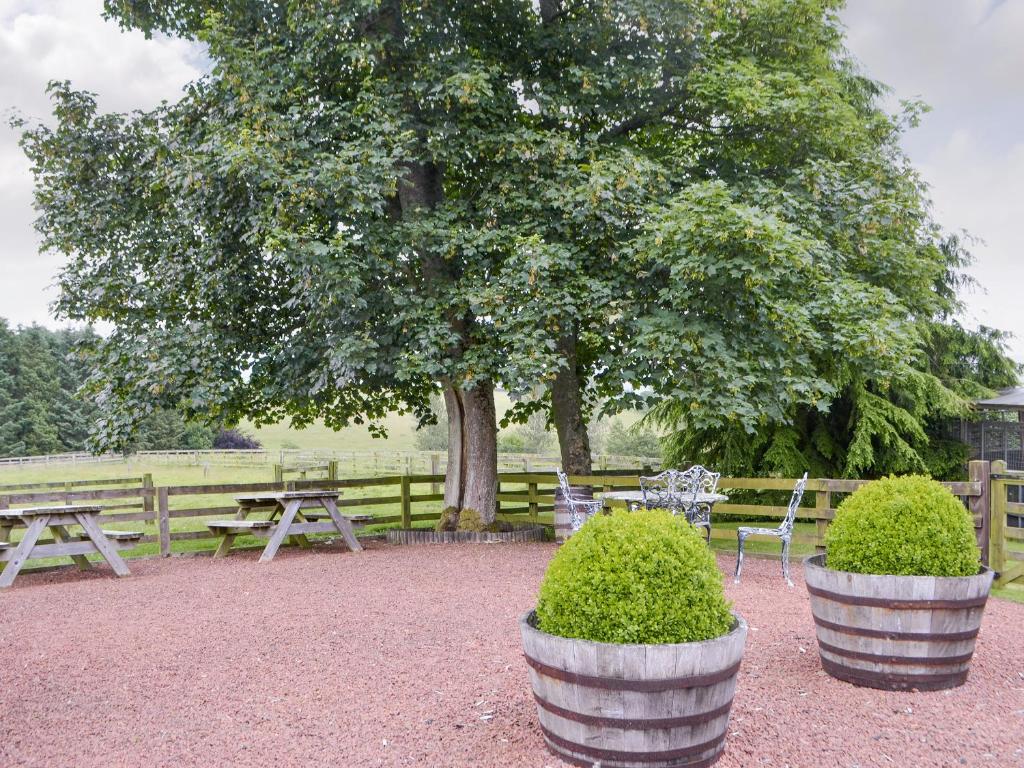 Grooms Cottage Elsdon room 1