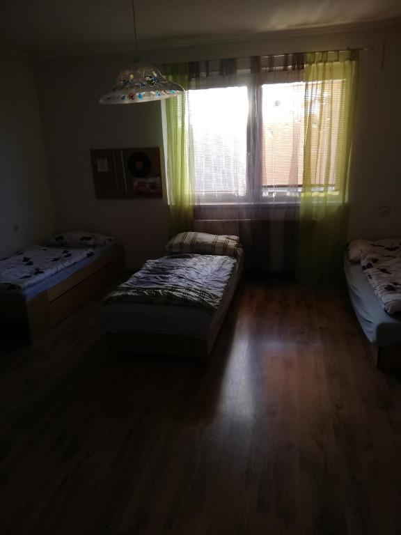 Halex 3 room 5