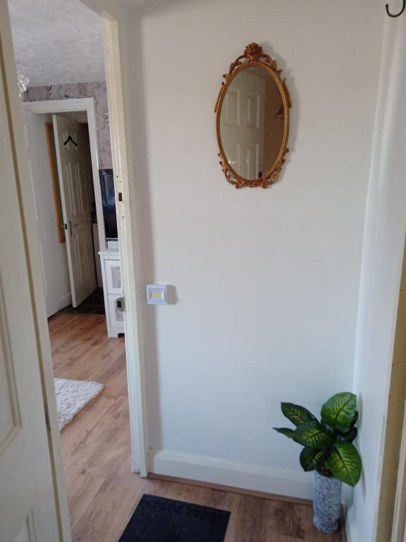 Havisham Studio Flat Rochester ME1 1XZ room 2