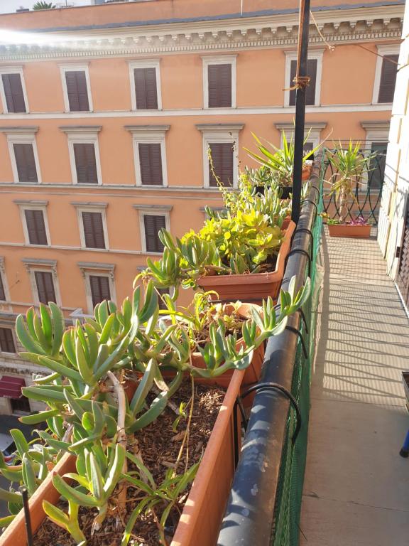 Guest house hello Roma 2 room 4