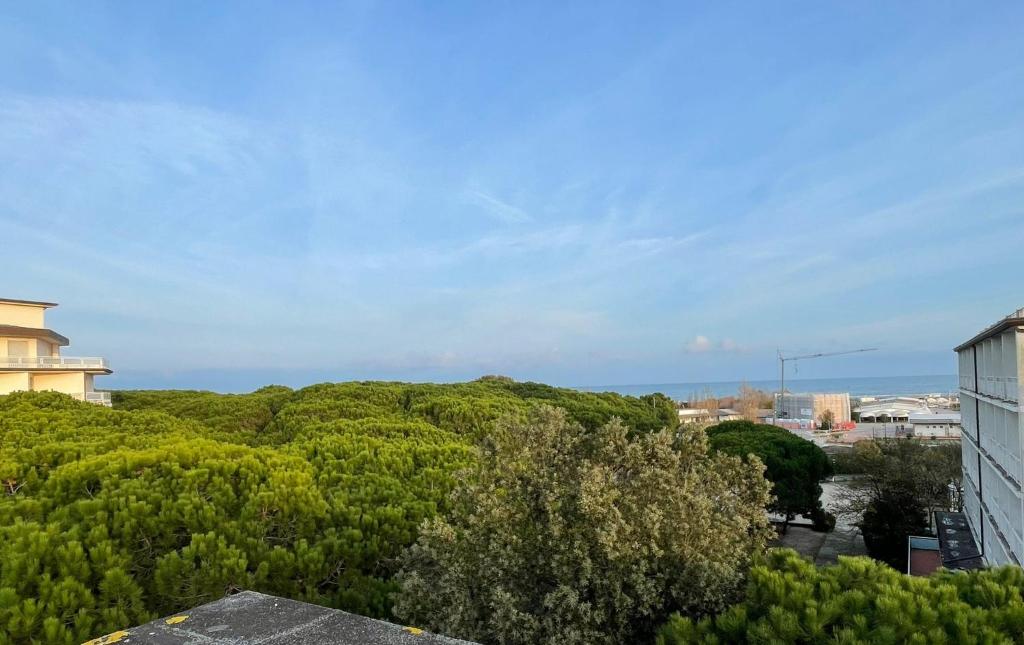 Pine Beach Hotel Rosolina Mare room 4