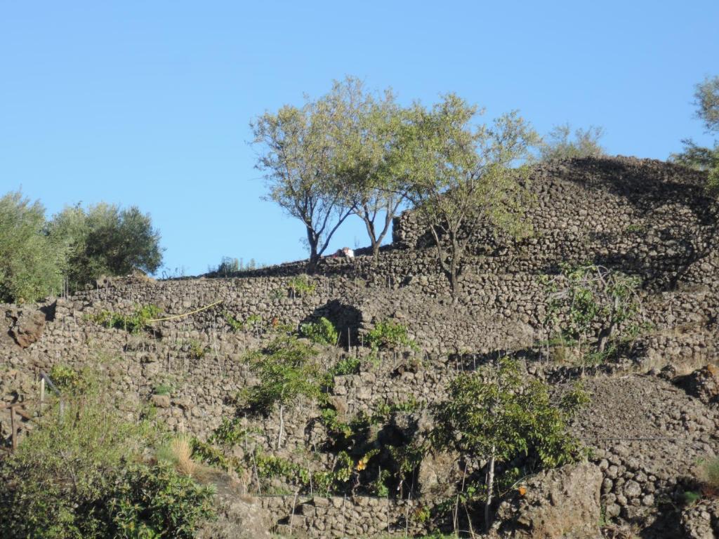 Rural House Etna room 2