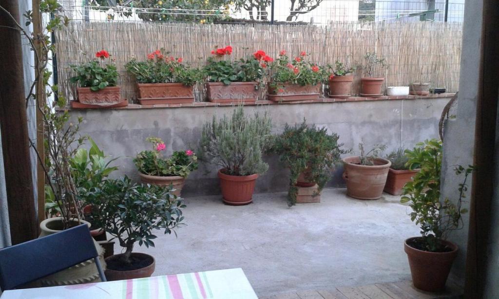 Il Raggio room 4