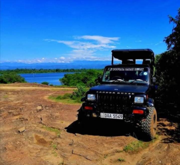 Induwara Safari Resort room 5