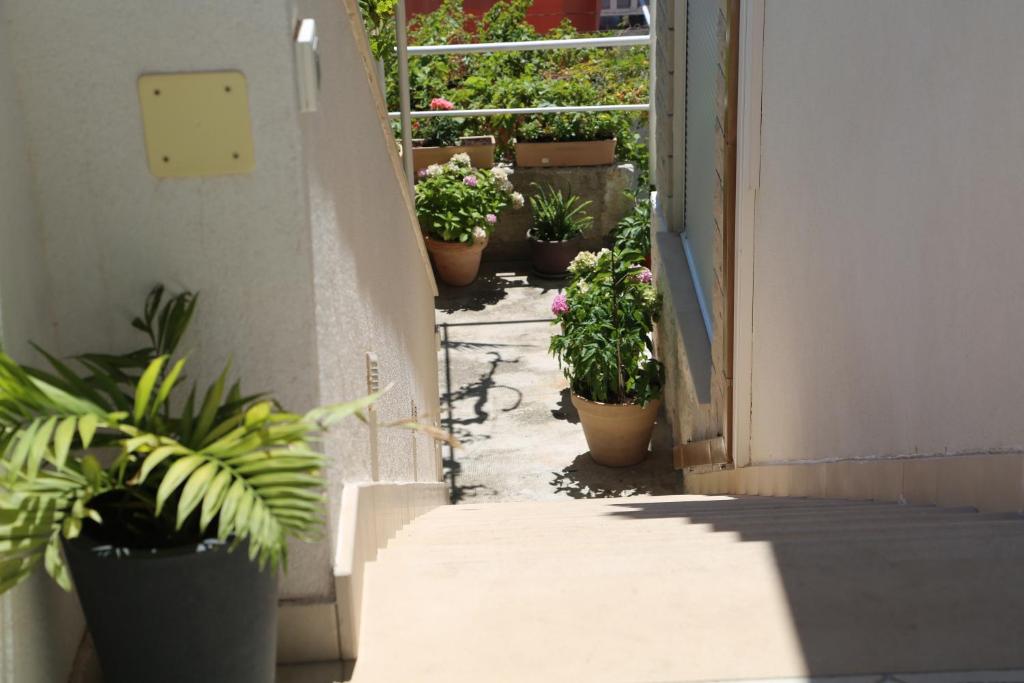 Apartments Jakov And Antonia room 3
