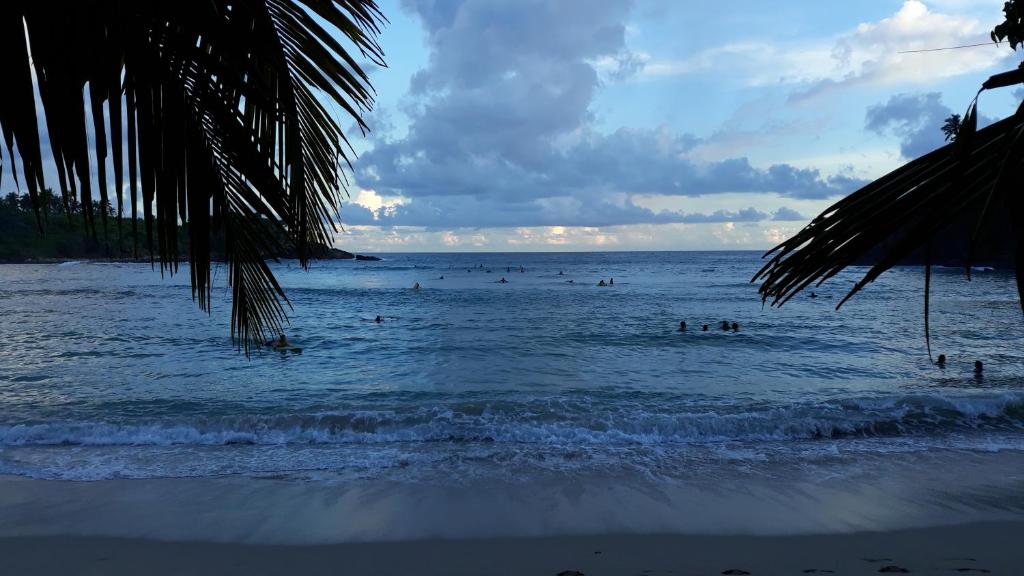 Kalpa Place Hiriketiya room 3