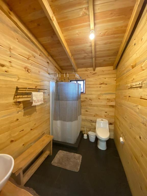 Km6 River lodge pucon room 1