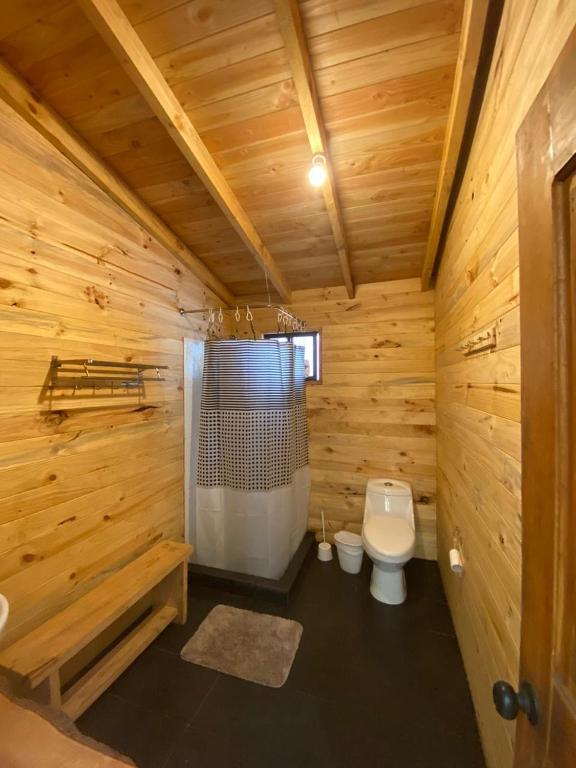 Km6 River lodge pucon room 3