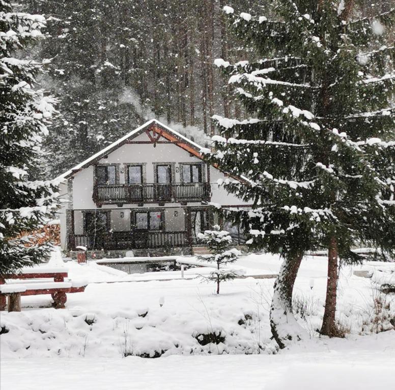 Cabana '' La Poalele Giumalăului '' room 1