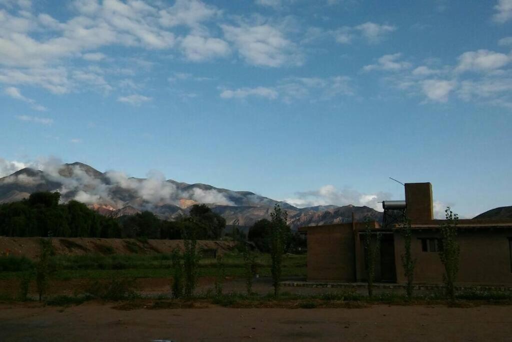 Lassaletta arte room 2