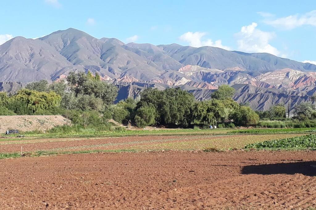 Lassaletta arte room 3