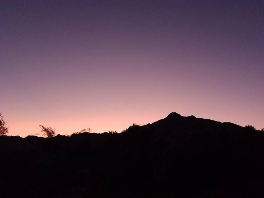 Lassaletta arte room 4