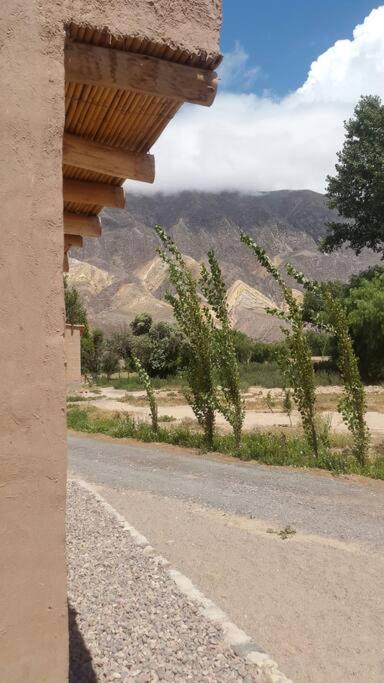 Lassaletta arte room 6