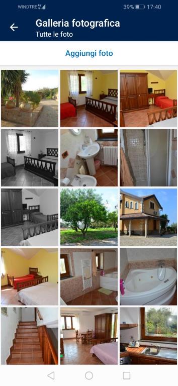 Bed Le Cicale room 2