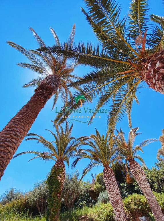 Le Palme Vacanze room 5