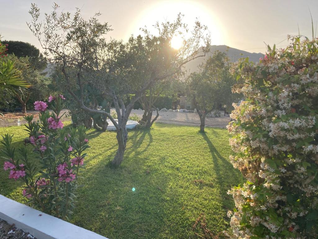 Lovely Cottage room 1