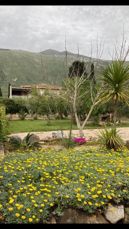 Lovely Cottage room 4