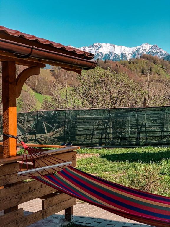 Cabanute Luca Ama Bran room 3