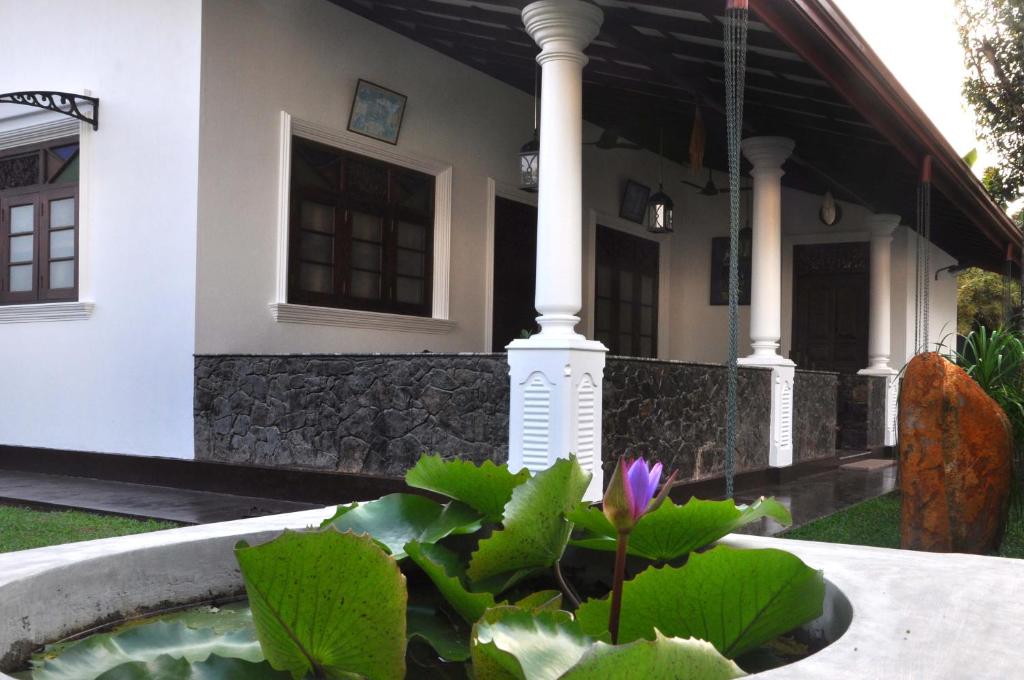 Mama Villa Hikkaduwa room 4