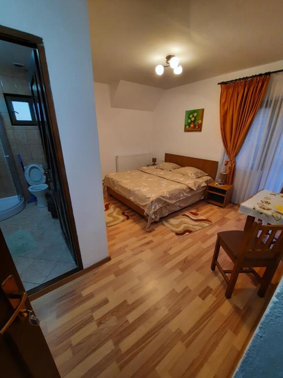 Pensiunea Maria-Elena room 4