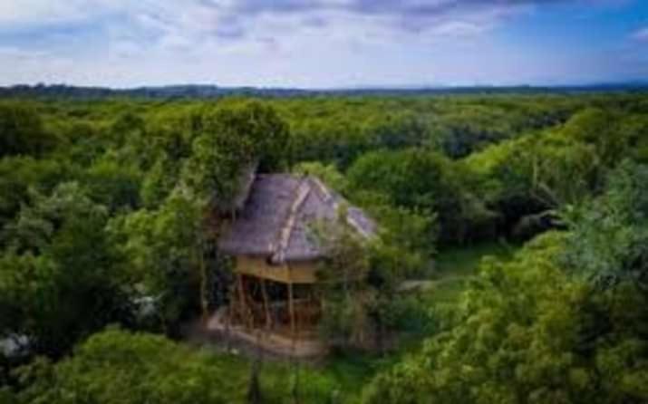 Mermaid Cabana and Tree Houses room 2