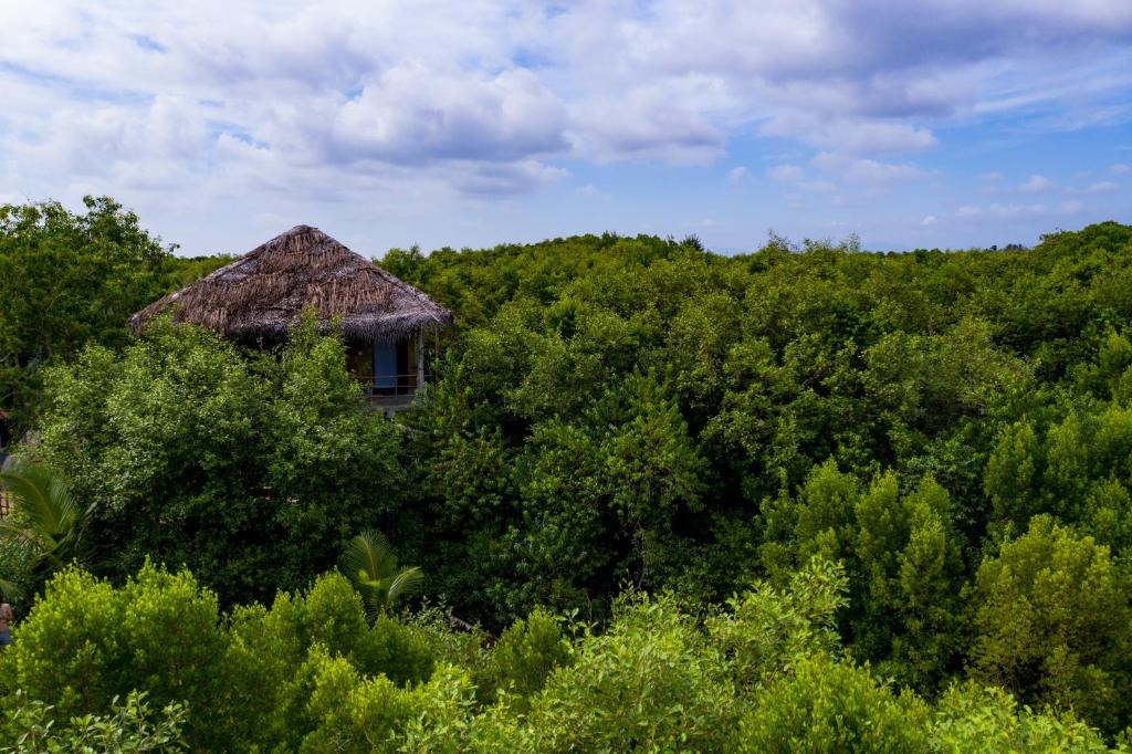 Mermaid Cabana and Tree Houses room 5