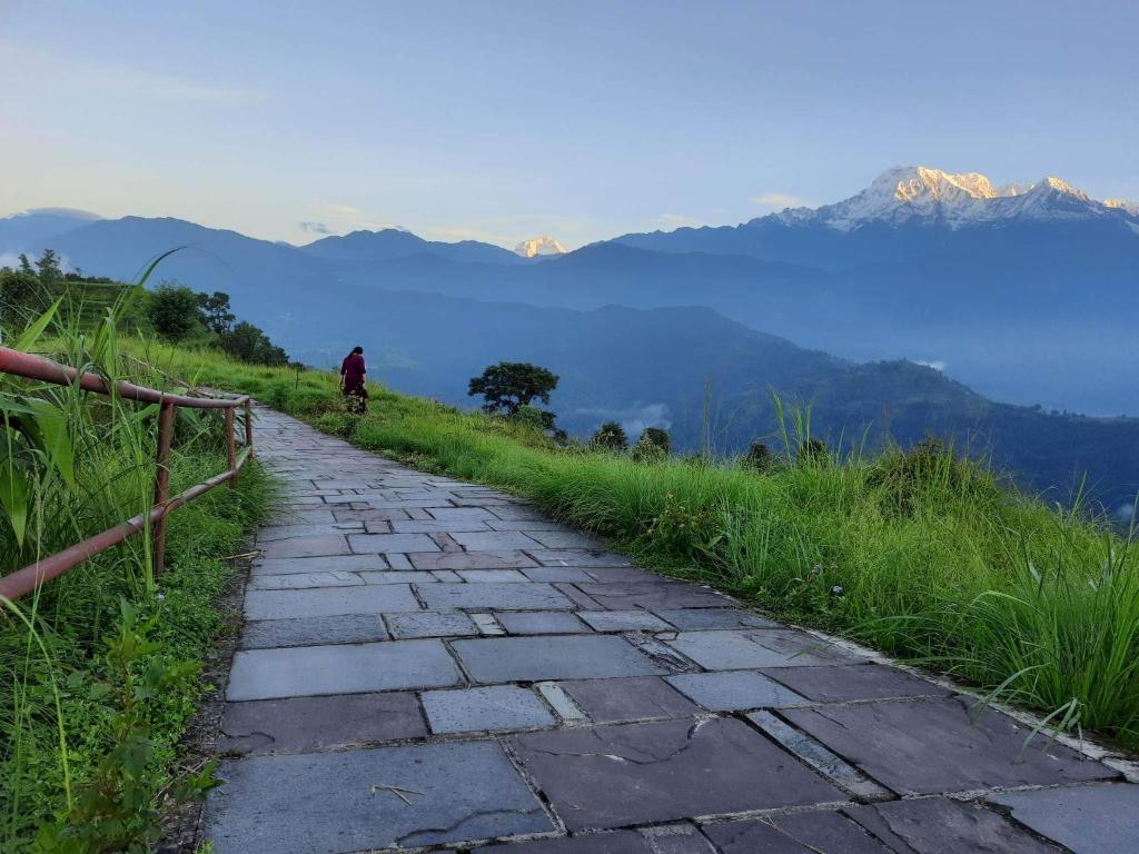 Moonlight Camping Site And Homestay Pokhara room 5