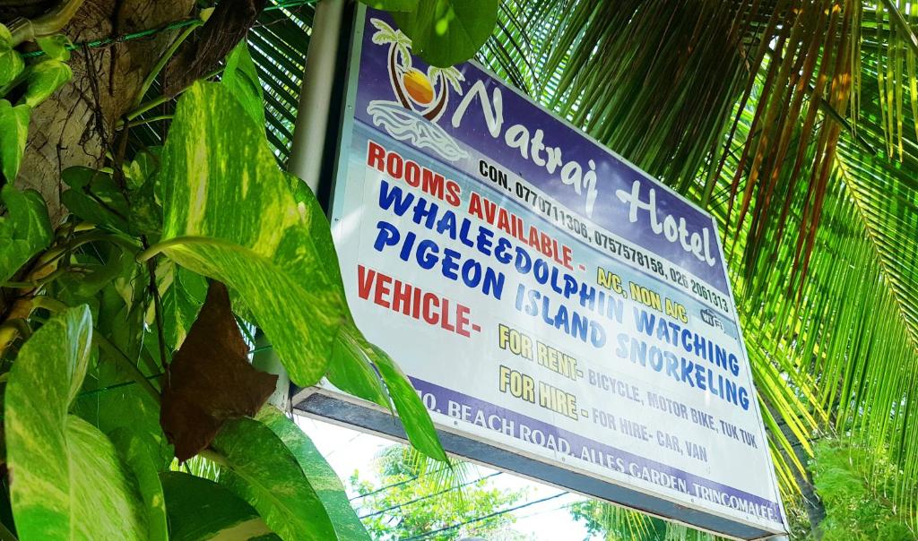 Natraj Hotel room 4