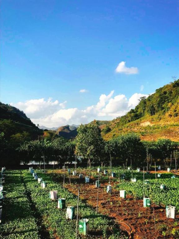 Ngô Gia Trang Farmstay Mộc Châu - Venue Travel room 5