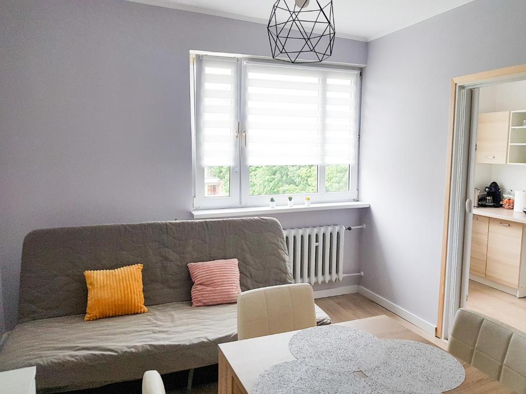 Noclegi Stare Miasto room 2