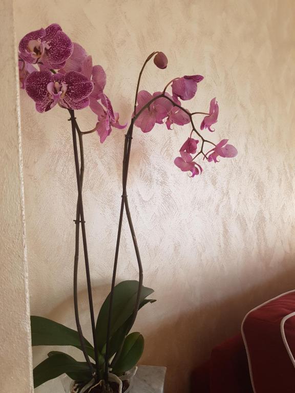 Casa Vacanza Nonna Dora room 1