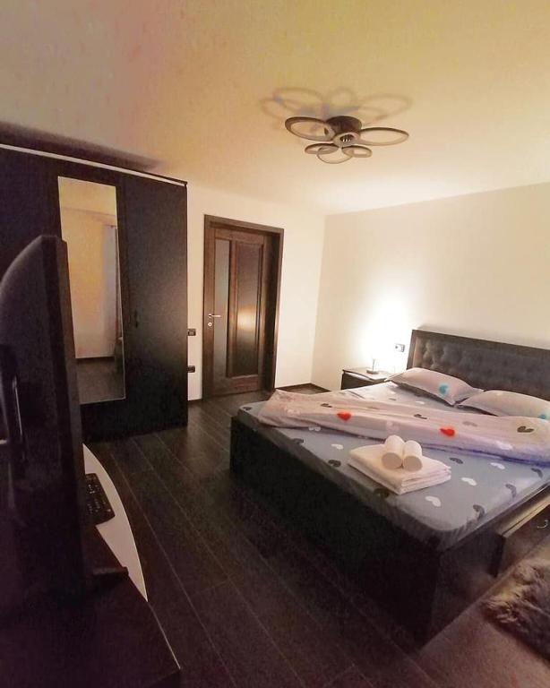 Ograda Bunicilor Gura Humorului room 5