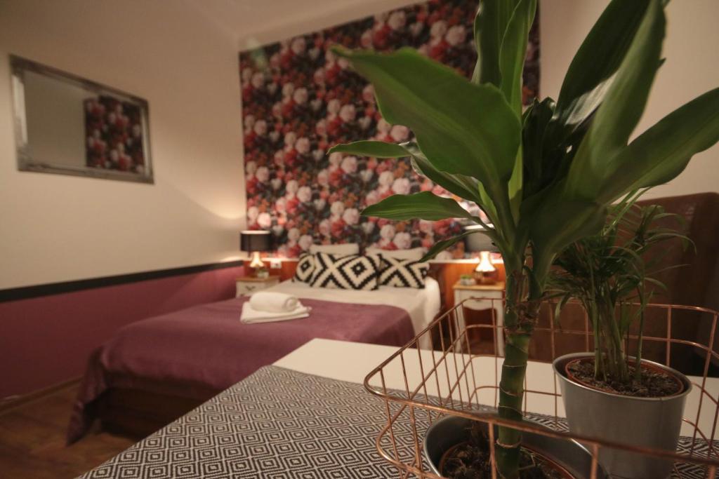 Cozy Old Town Apartments room 2