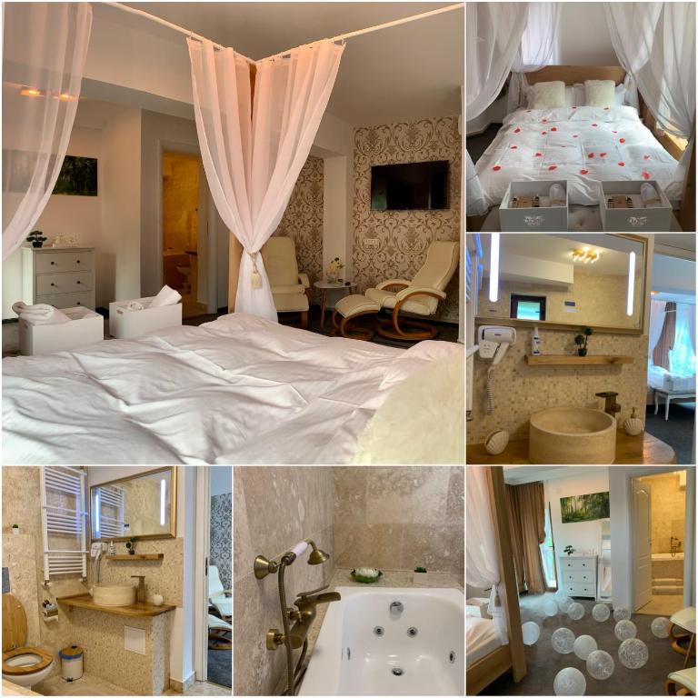 Pensiunea Anotimpuri by Casa Sandu room 3