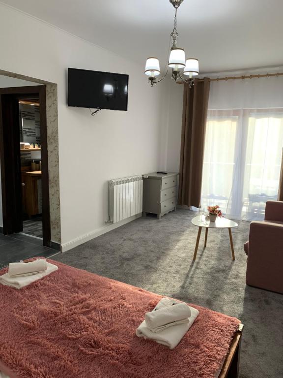 Pensiunea Anotimpuri by Casa Sandu room 6
