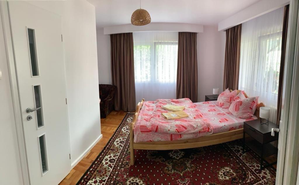 Pensiunea Grapini room 3