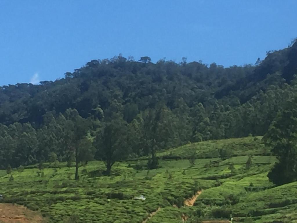 Perera Homestay room 1