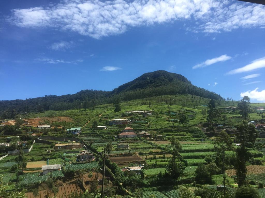 Perera Homestay room 6
