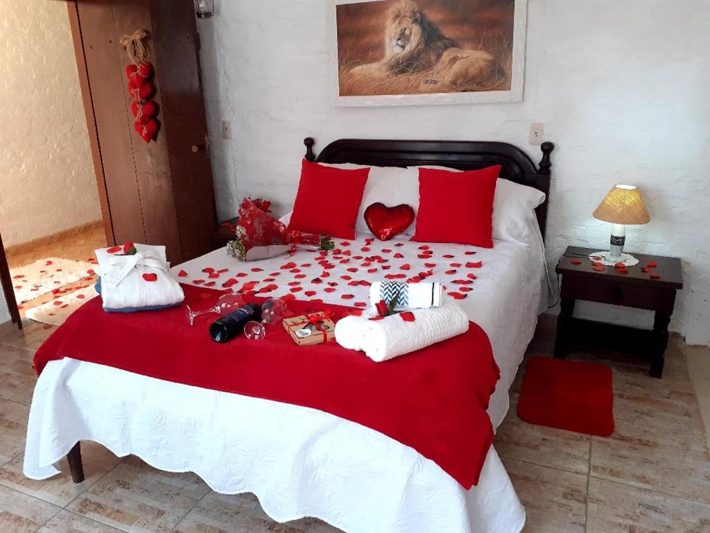Chalé pinheiro velho room 2