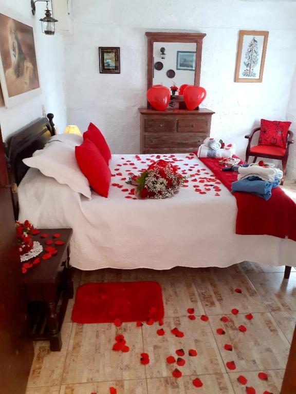 Chalé pinheiro velho room 5