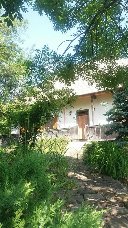 Pintea Cottage - Bucovina room 2
