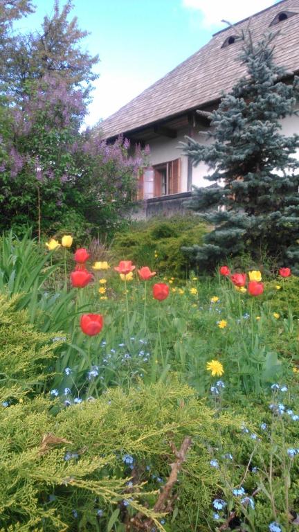 Pintea Cottage - Bucovina room 3