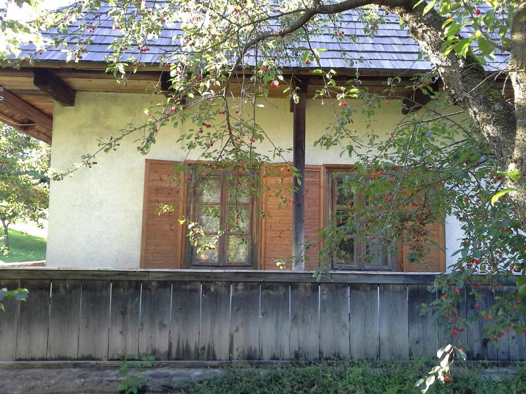 Pintea Cottage - Bucovina room 5